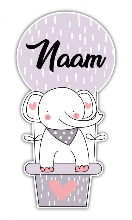 Dieren in luchtballon 04