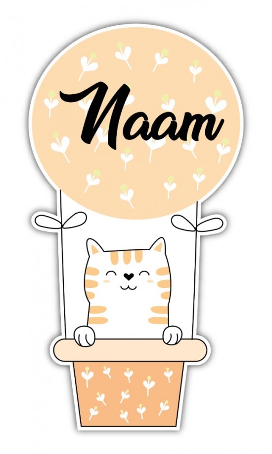 Dieren in luchtballon 06