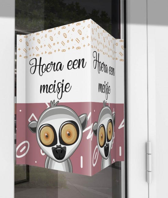Geboorte raambord aapje voor meisje