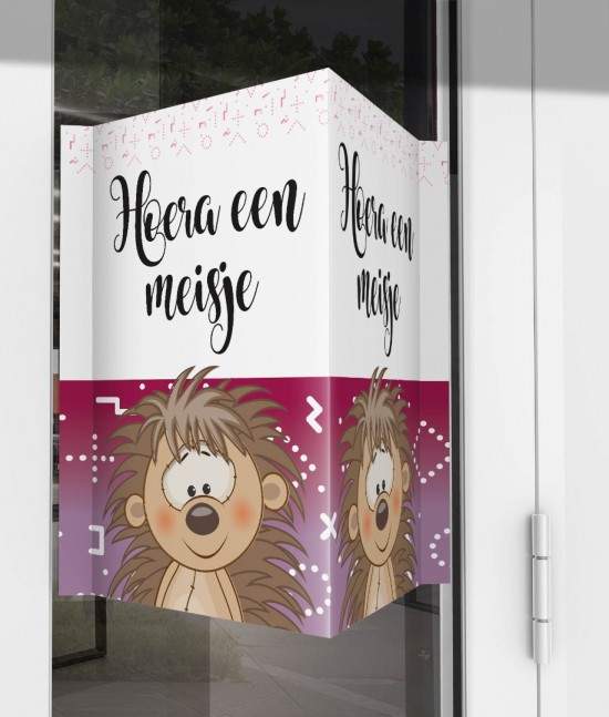 Geboorte raambord egeltje voor meisje