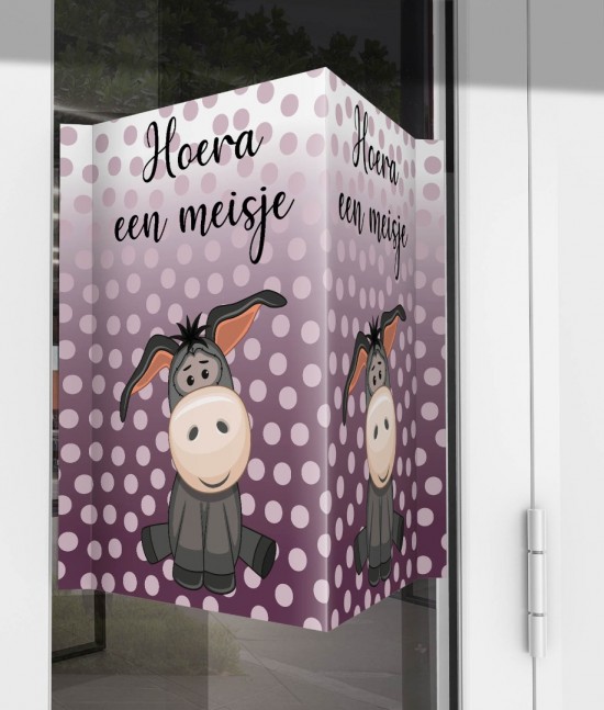 Geboorte raambord ezeltje voor meisje