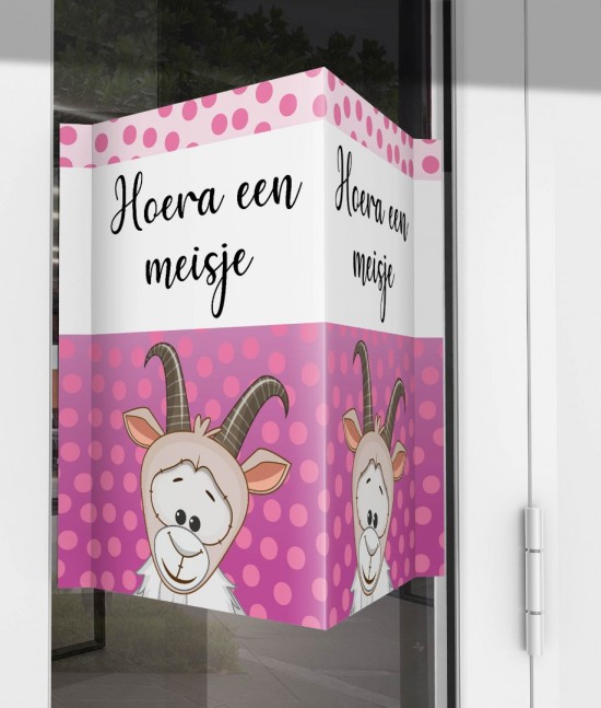 Geboorte raambord geitje meisje