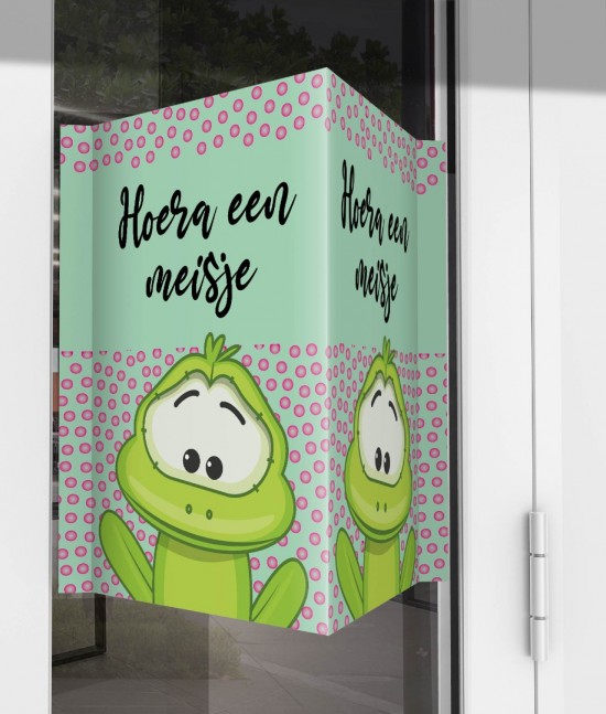 Geboorte raambord kikkertje meisje