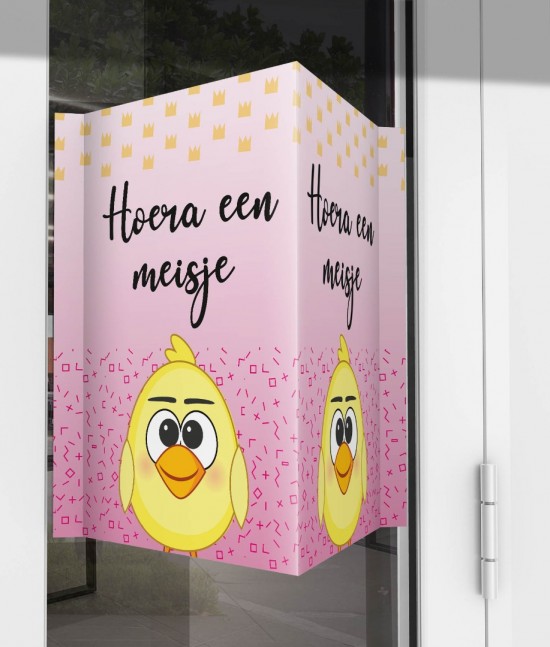 Geboorte raambord kuikentje meisje nieuw