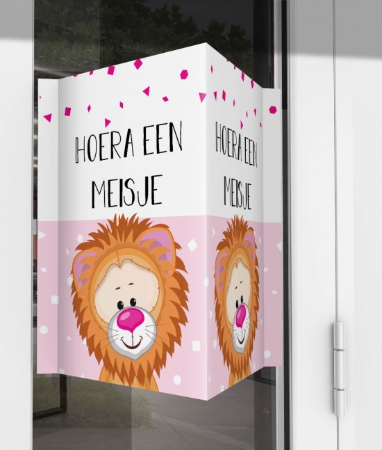 Geboorte raambord leeuwtje meisje