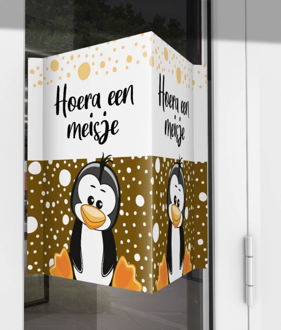 Geboorte raambord pinguin meisje