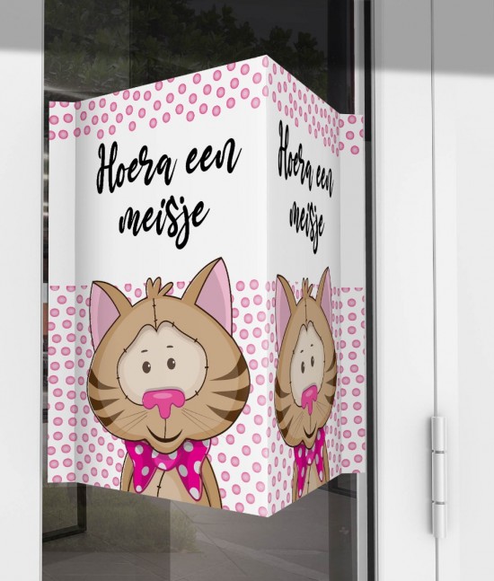 Geboorte raambord poesje meisje