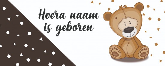 Geboorte spandoek teddybeer voor jongetje 02