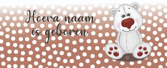 Geboorte spandoek witte beer voor jongetje 01