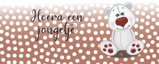 Geboorte spandoek witte beer voor jongetje 02