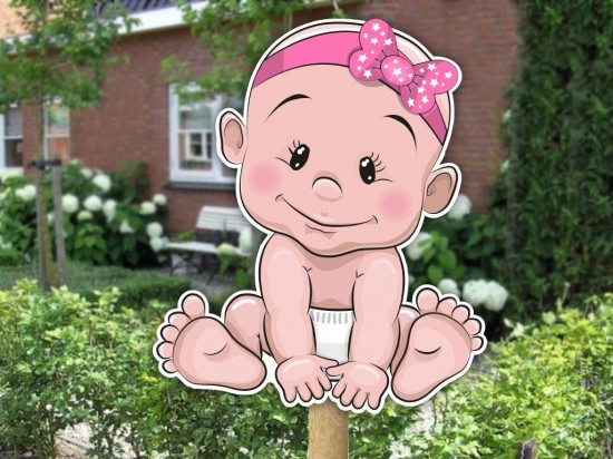 Geboortebord baby meisje