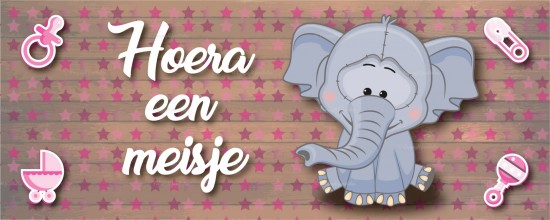 Olifantje 17   kopie