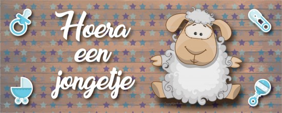 Schaapje 24