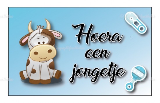 Standaardsjabloon 14 0