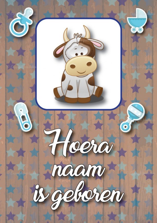 Standaardsjabloon 15 0