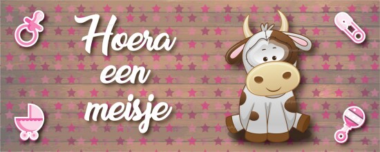 Standaardsjabloon 17 0