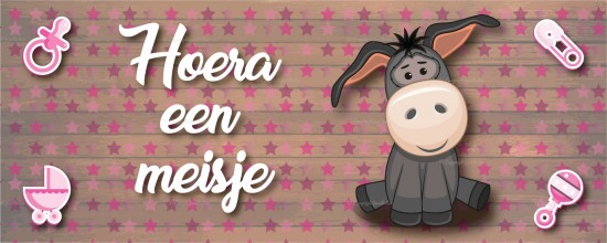 Standaardsjabloon 17