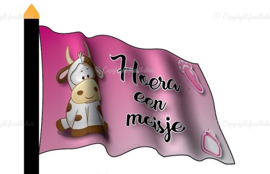 Standaardsjabloon 21 0