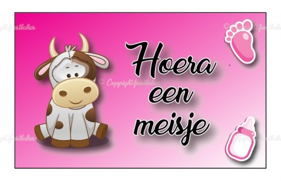 Standaardsjabloon 22 0