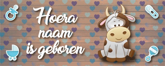 Standaardsjabloon 23 0