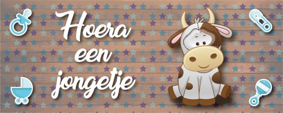 Standaardsjabloon 24 0