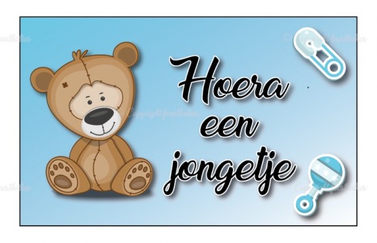 Teddybeer 14