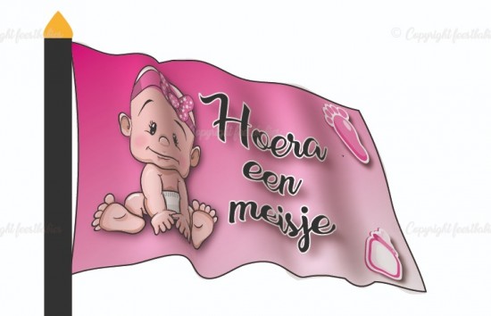 Vlag baby bus en meisje 03